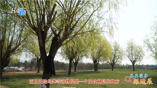 昨日足球竞彩比赛结果深度解析，激情与悬念并存的绿茵盛宴