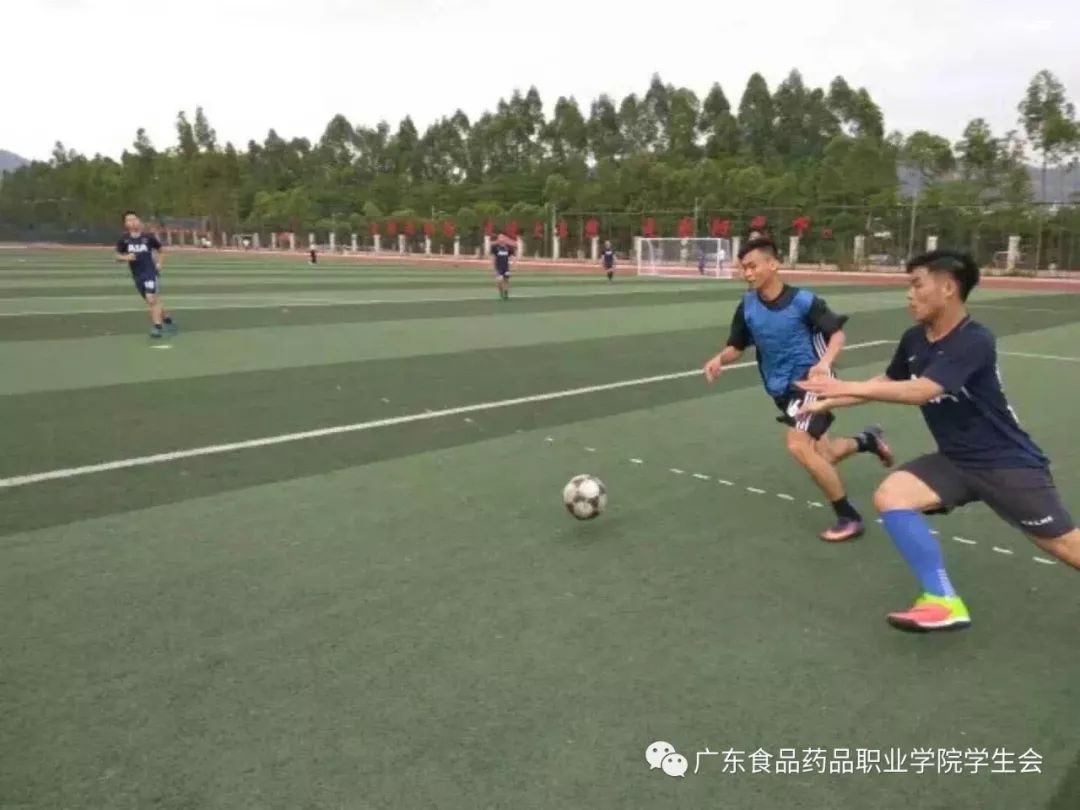 足球赛事的激情与魅力，即时比分的魅力探索