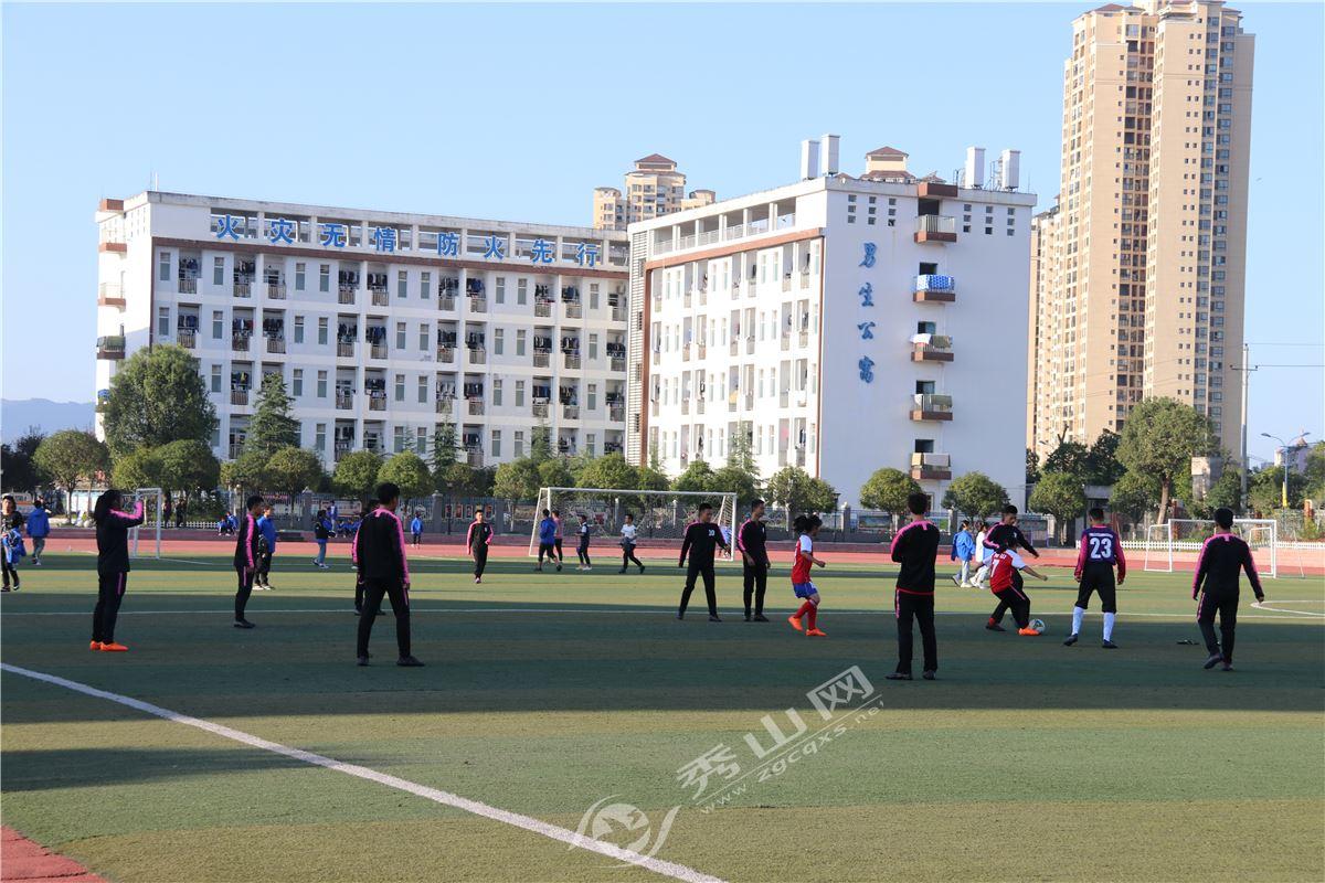 足球激情，即时比分与捷报网引领的观赛新体验
