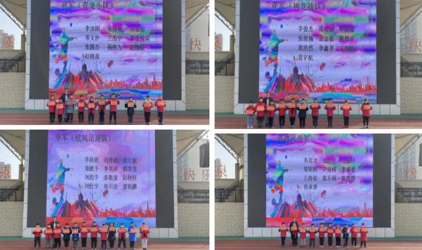 足球的魅力与规则，一场11人的精彩对决