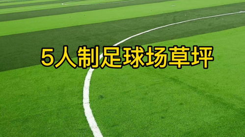 正规足球场地标准尺寸，从草皮到边界的全面解析