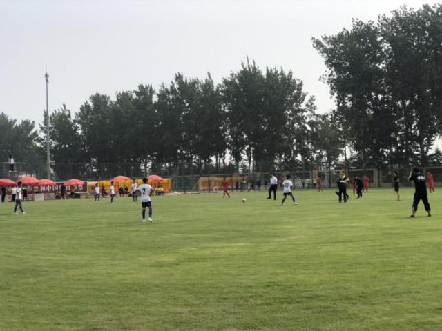 足球激情，免费高清直播，解锁体育盛宴的无限可能