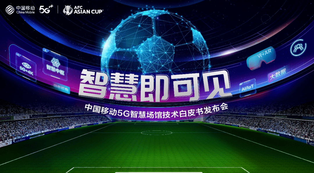 足球比赛竞彩平台的魅力与风险，一场智慧与运气的较量