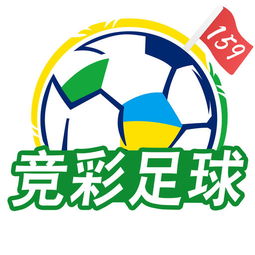 足球比赛结果查询，竞彩网与比赛结果汇总的便捷之道