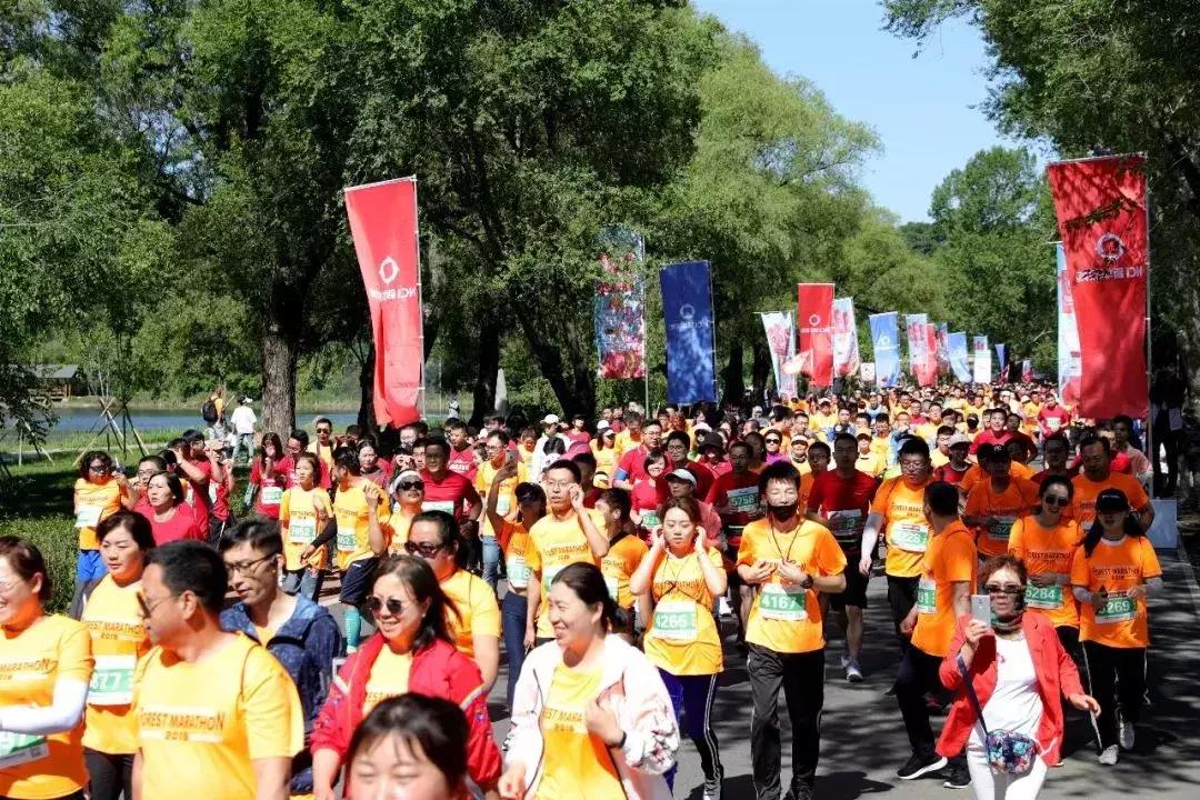 探索足球激情，揭秘哪些平台可以畅享足球直播比赛
