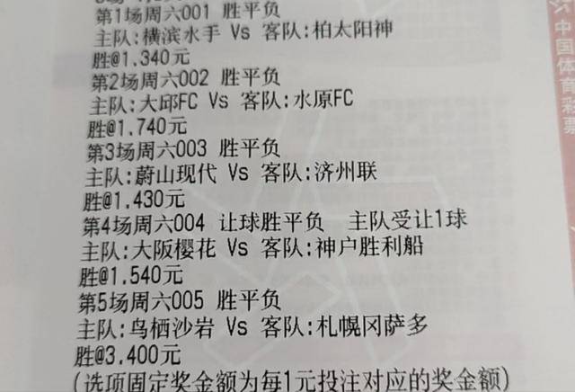 足球比分网站，球探网免费服务的深度解析