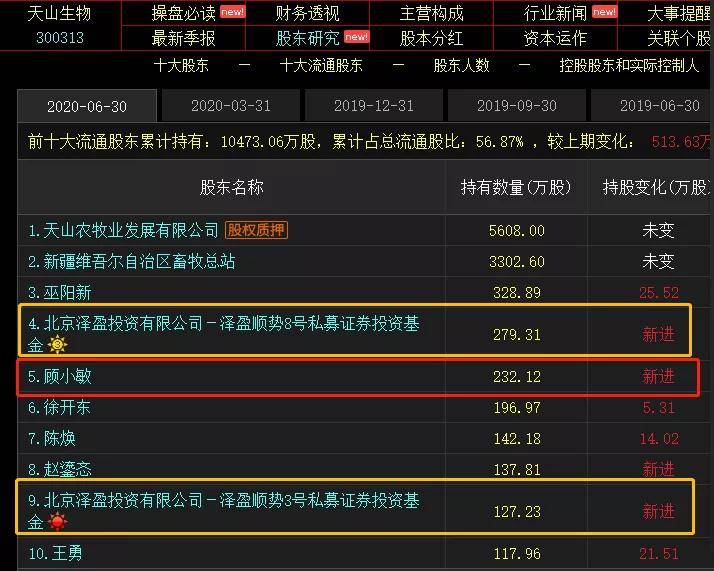 球探足球比分，揭秘背后的智慧与策略