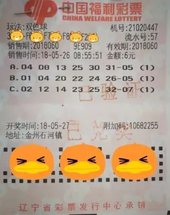 随机选号，双色球中的智慧与乐趣