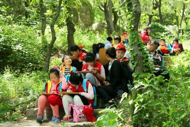 探索双色球2020018期的奇妙之旅