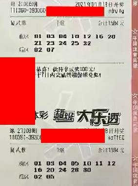 探索新浪体彩大乐透综合走势图，数字背后的奥秘与理性投注