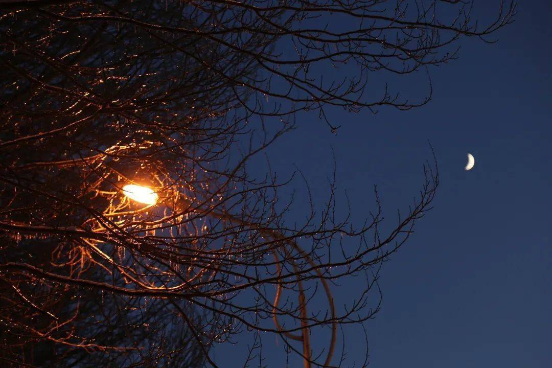 今晚月色真美，静谧夜空下的温柔时光
