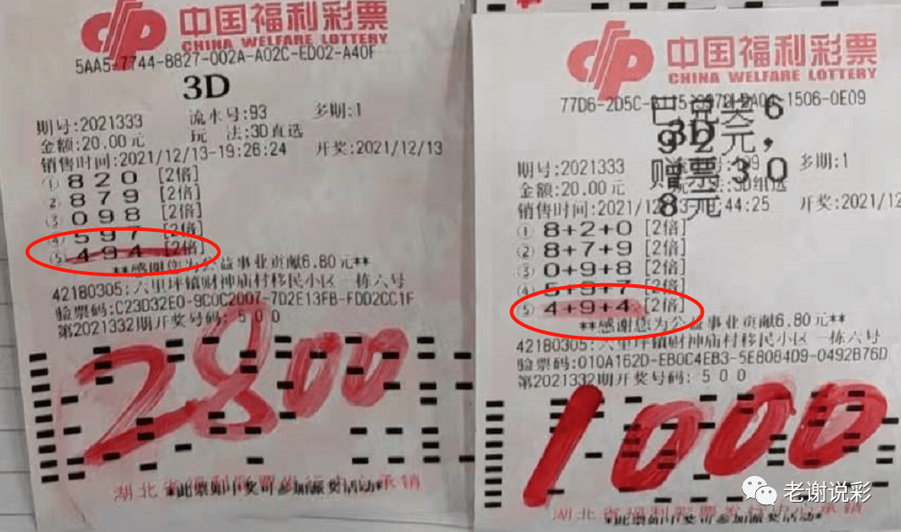 今日3D试机号查询，彩经网全解析