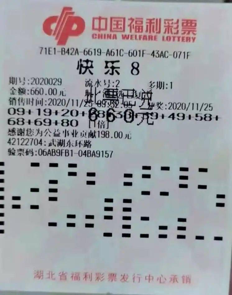 彩票机选号码，理性与幸运的碰撞