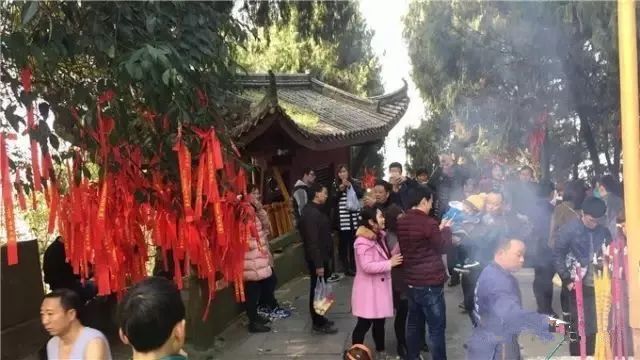儿童谜语大全7-9岁脑筋急转弯，智慧与乐趣的碰撞