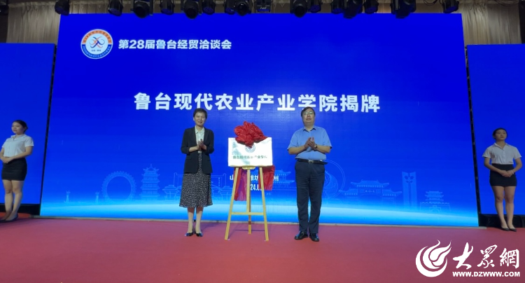 台湾最新消息，两岸交流的深化与经济合作的加强