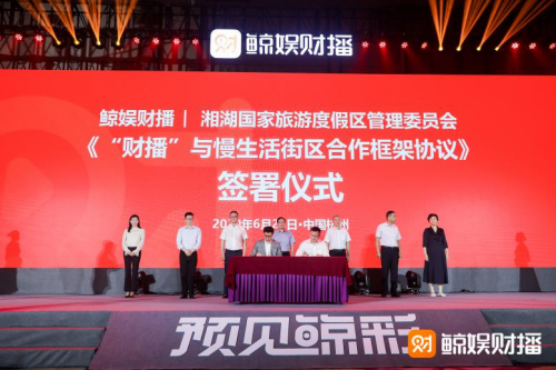 彩吧官网论坛首页直播，数字与激情的碰撞，梦想与现实的交汇