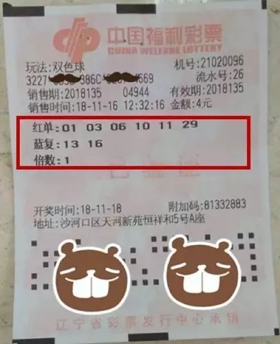 浙江彩民喜中双色球12注大奖，幸运降临，共筑梦想