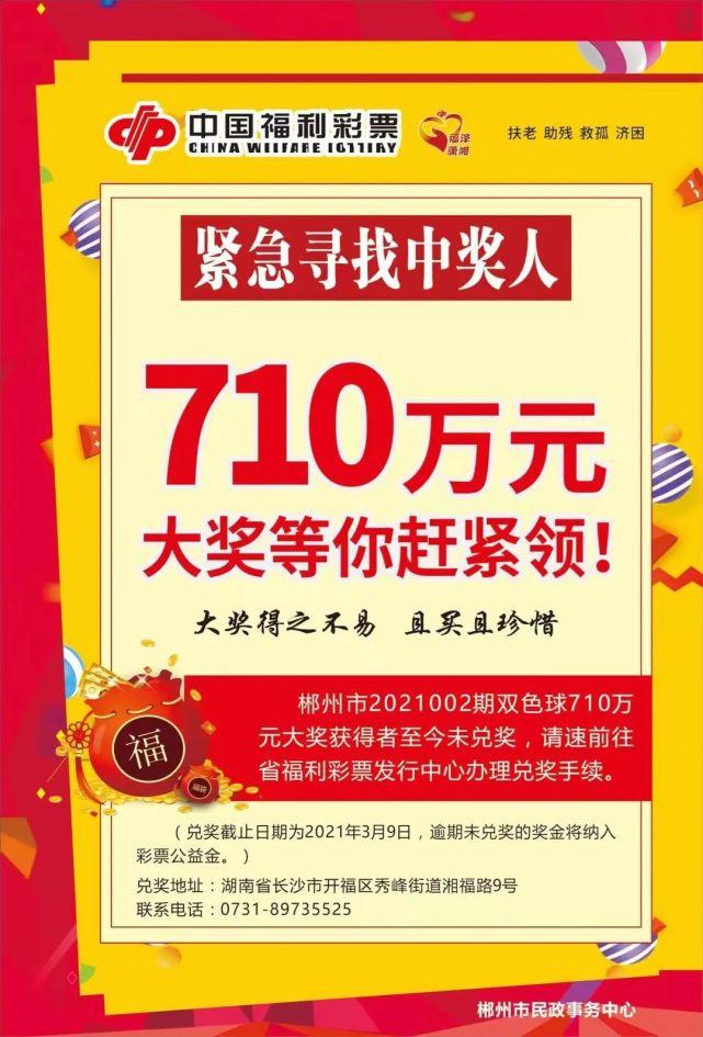 彩票论坛与双彩论坛，理性与激情的交汇