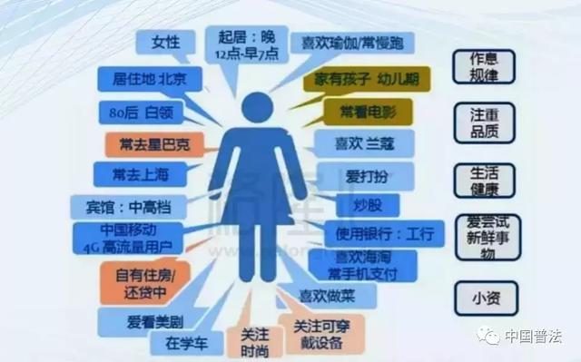 3D速查图表，现代数据探索的革命性工具