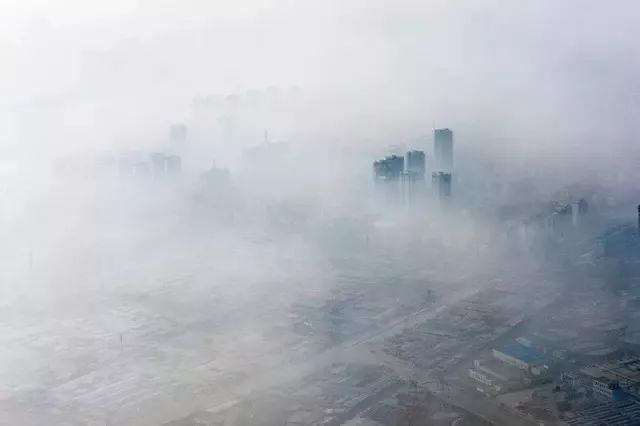 彩世界，真假之辨的迷雾