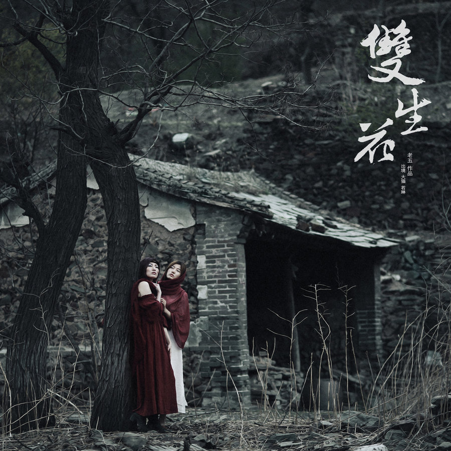 体裁与体例，文学创作中的双生花