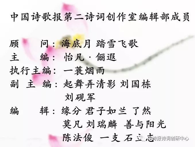 文体之韵，探索体裁的多样魅力
