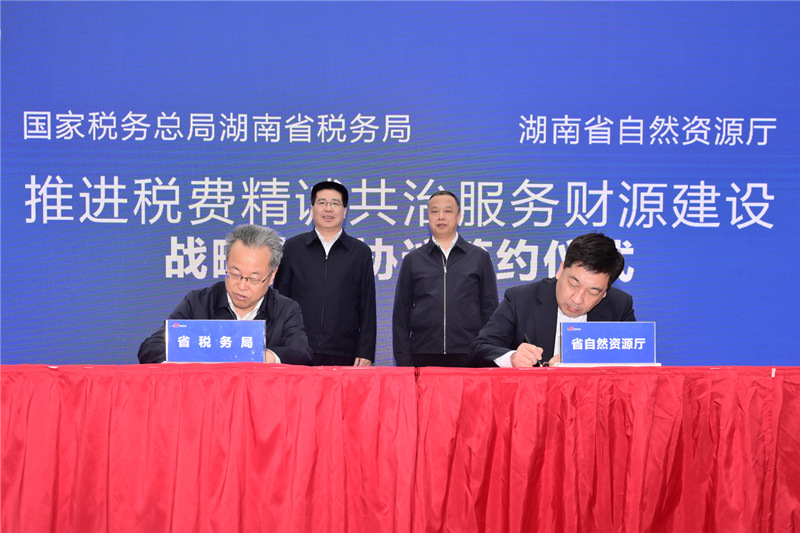 探索国家税务总局网，数字化时代的税务服务新篇章