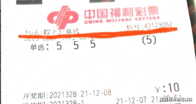 2021年42期彩票中奖号码，一场数字的奇迹与梦想的碰撞