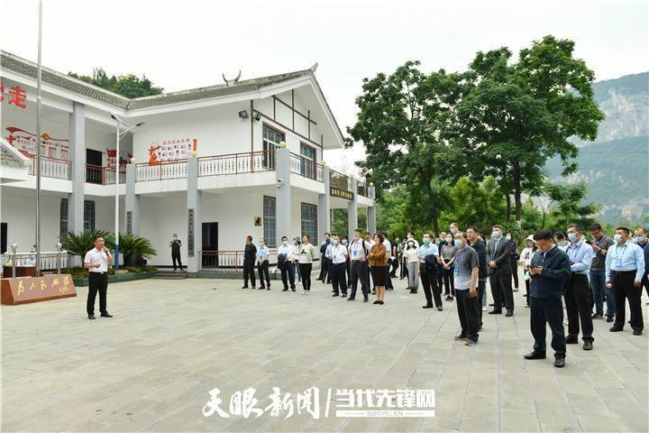 牛彩图谜图库大全，解锁数字游戏的趣味与智慧