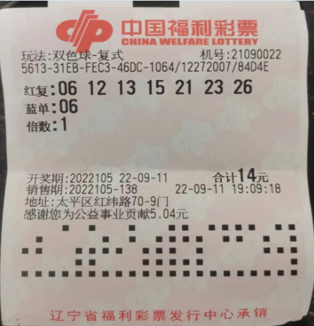 探索双色球，中奖详情查询的奥秘与乐趣