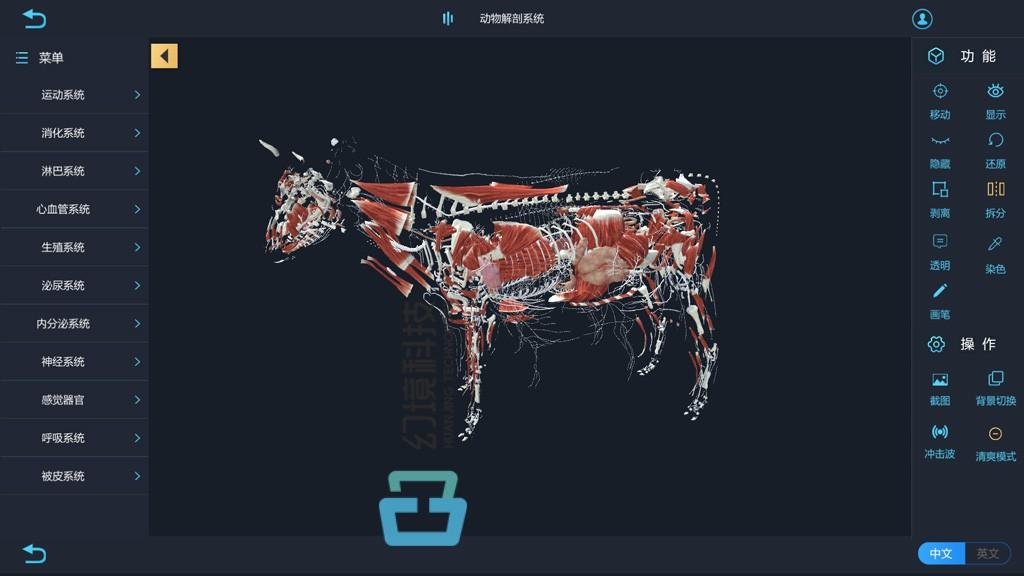 3D人物建模软件APP，重塑虚拟世界的创意工具