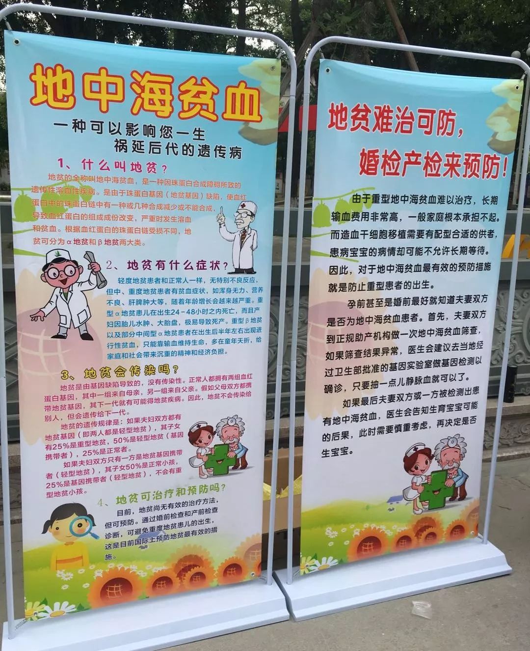 共筑无碍世界，国际残疾人日宣传活动的意义与行动