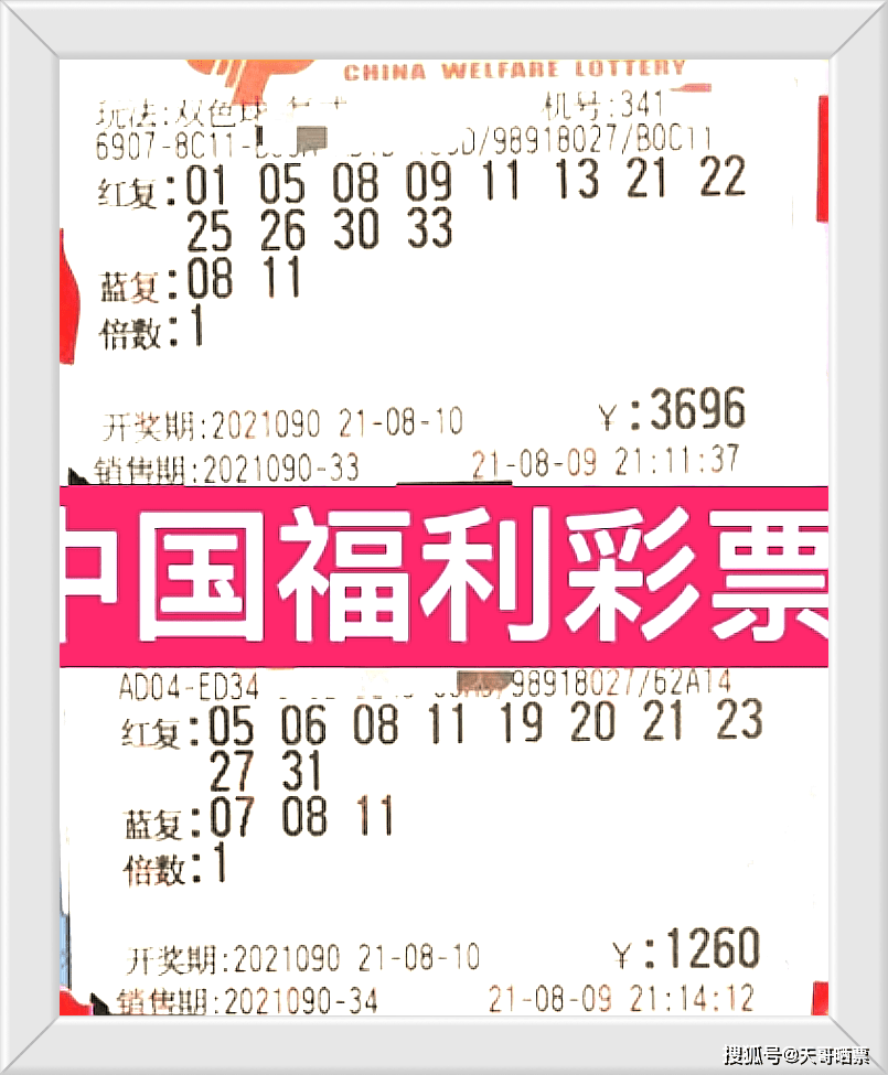 台湾马经，今晚的幸运号码揭秘