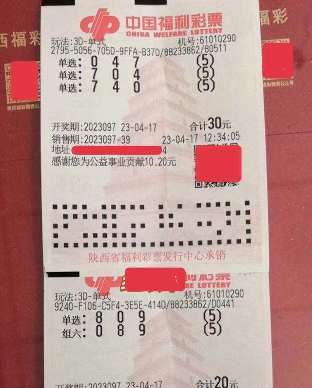 2023013期福利彩票中奖号码揭晓，幸运的瞬间与梦想的启航