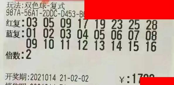 713双色球开奖结果，梦想与幸运的碰撞