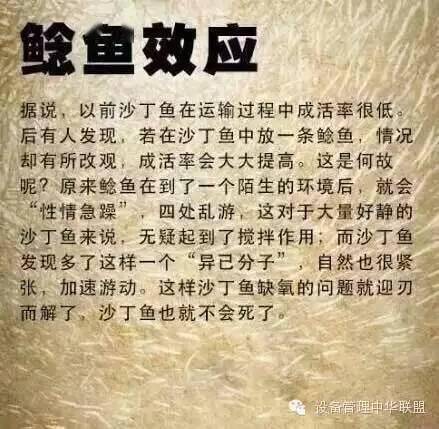 3D太湖钓叟试后一语定胆，揭秘传统智慧与现代科技的完美融合
