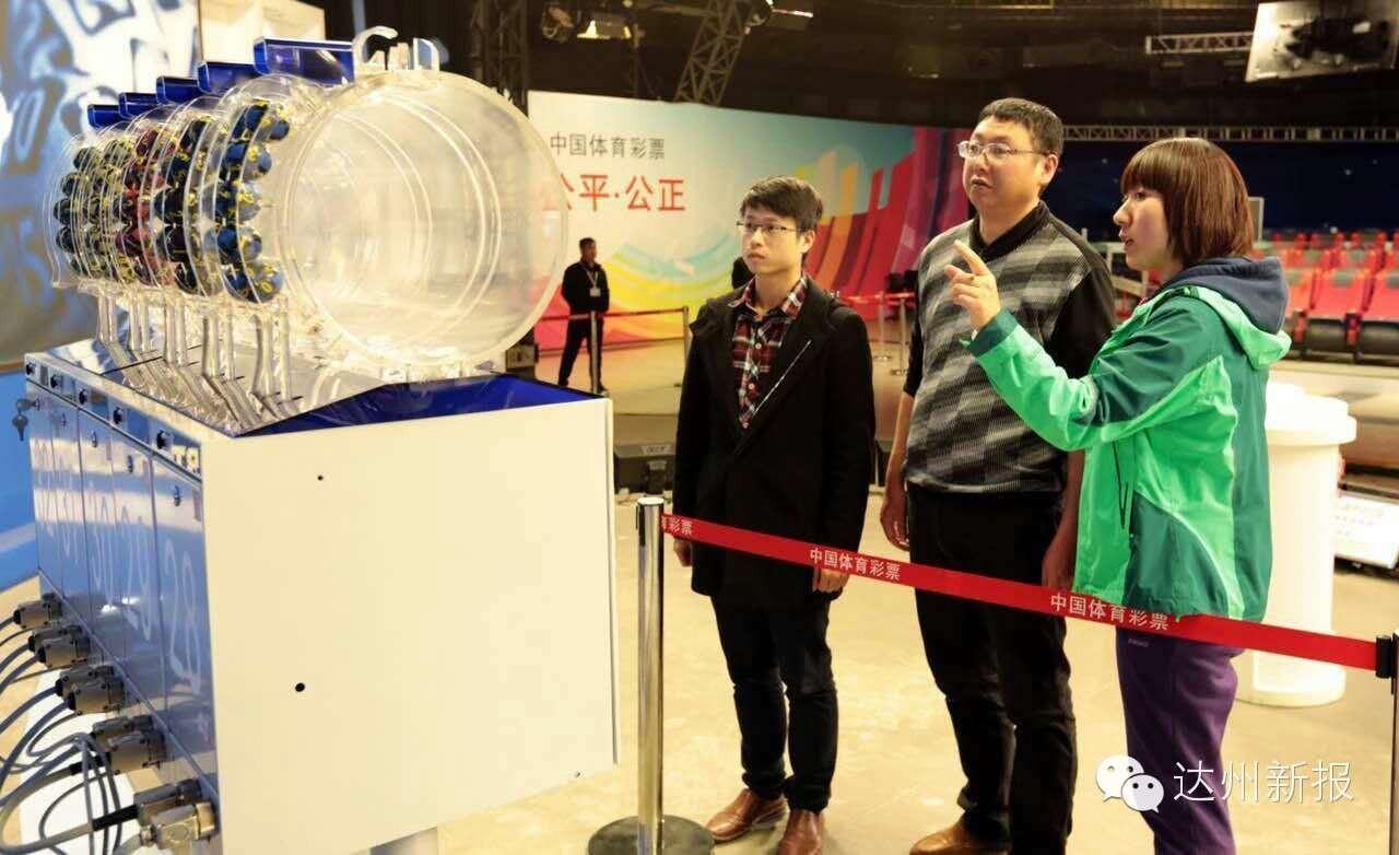 福彩彩票开奖查询，揭秘背后的真相与注意事项