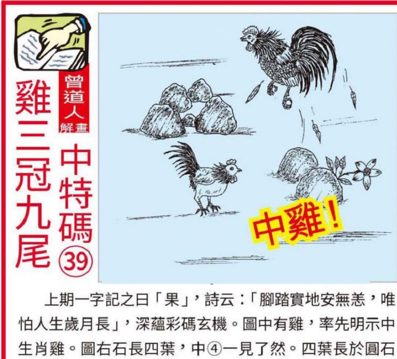 澳门123手机开奖资料大全，揭秘澳门彩票的魅力与风险
