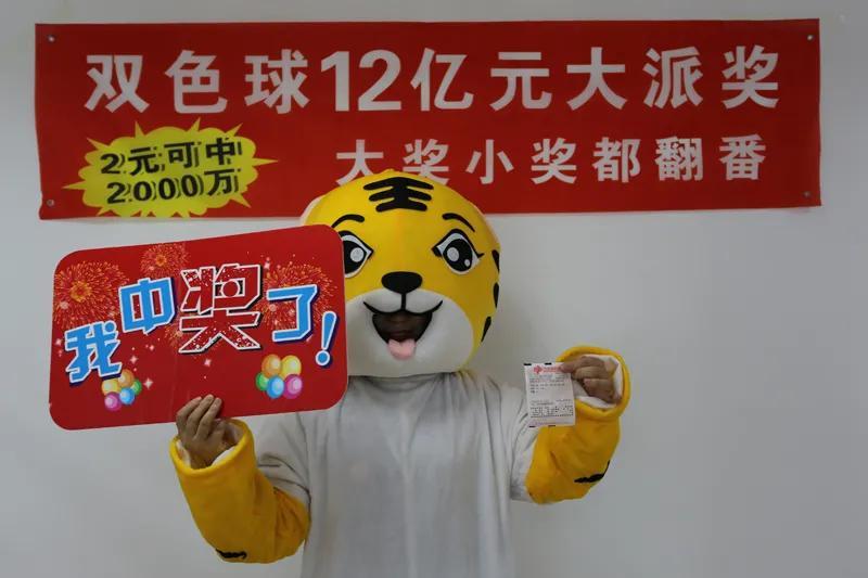 沈阳市彩票兑奖中心，梦想与幸运的交汇处