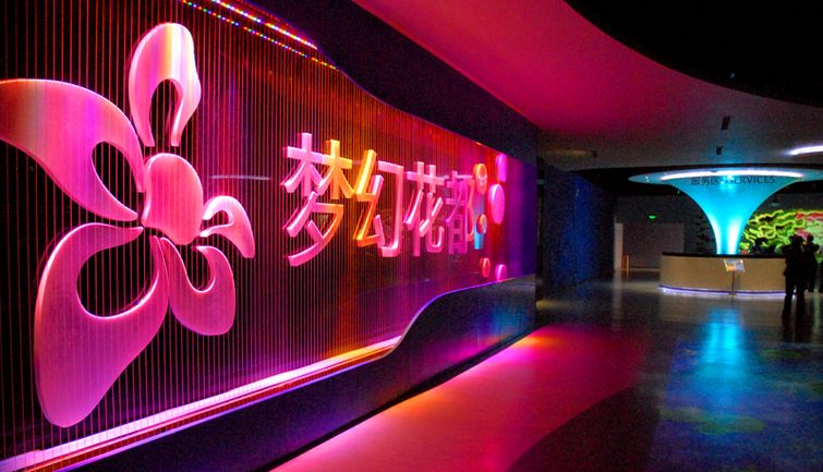 粉百合3D彩吧，探索数字娱乐的梦幻世界