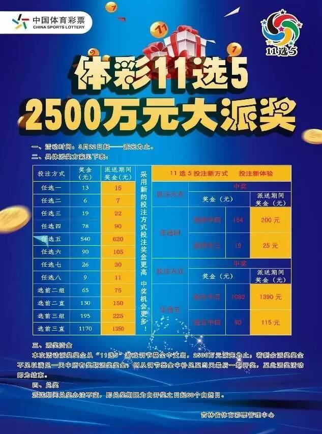 全国体彩11选五开奖结果查询，揭秘背后的乐趣与技巧