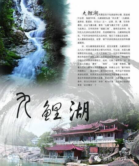 福建31选7与36选7，数字背后的综合走势探索