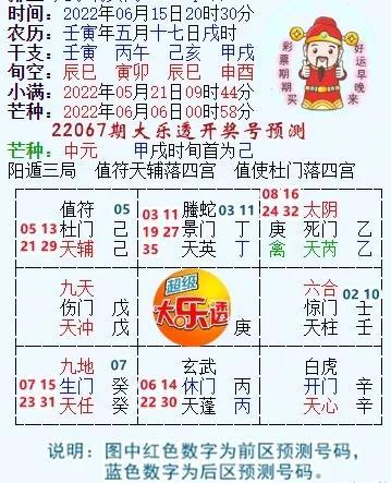 专家视角，大乐透号码预测的智慧与艺术