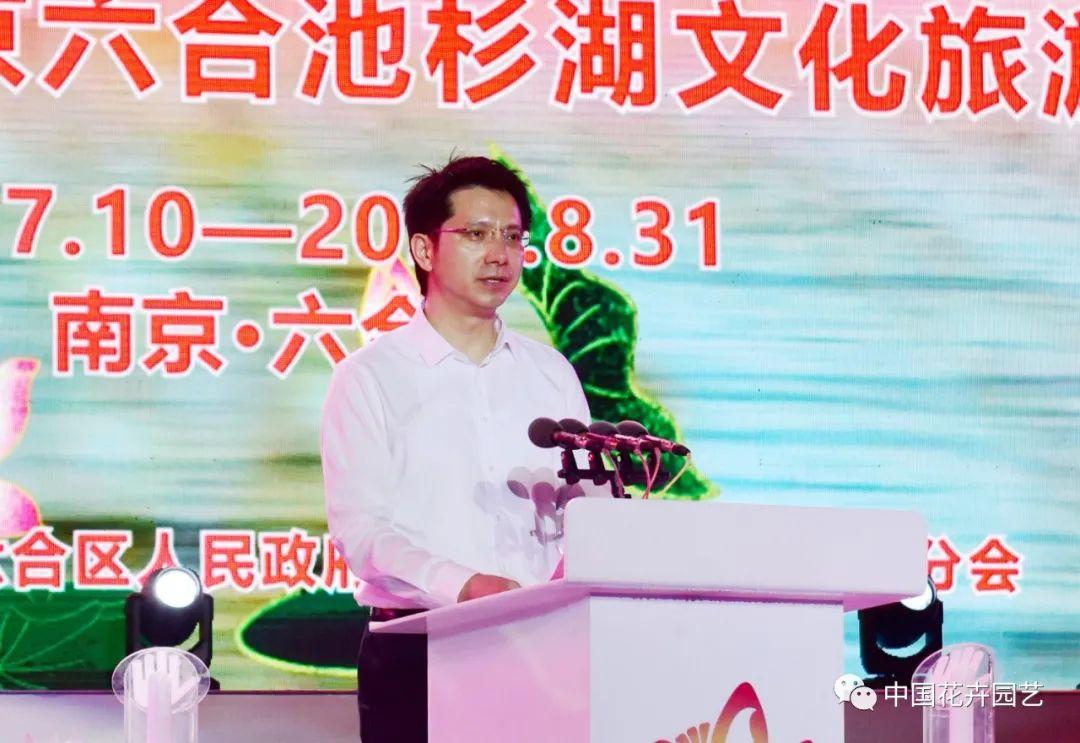 澳门六开论坛官方正版最新版中文版，探索澳门文化与娱乐的深度融合