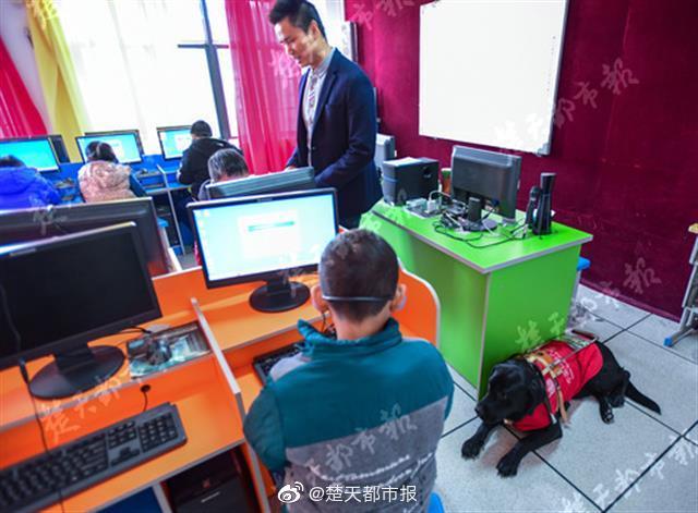 澳门六六之家，探索最新版官方免费版中文版下载安装指南