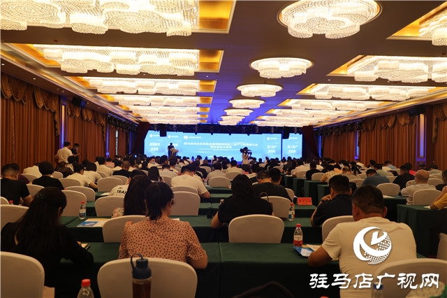 澳门六大博企现状深度剖析，挑战与机遇并存