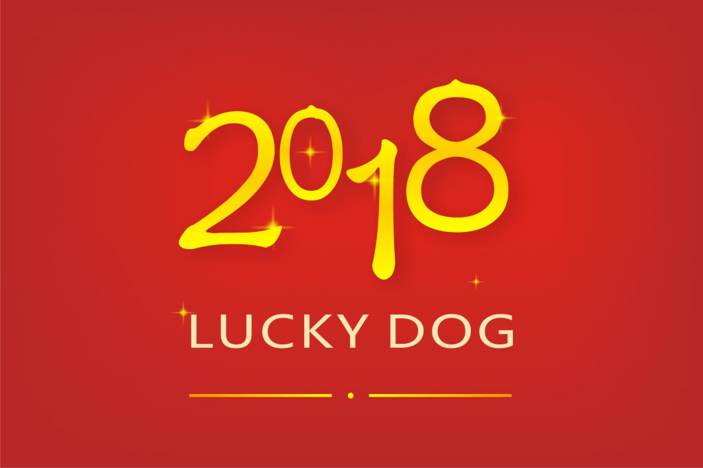 2024年12月16日澳门六今晚开奖直播，属相之夜的幸运揭晓