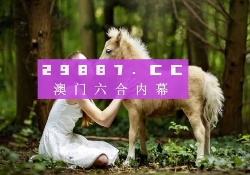 澳门六开奖结果资料查询，2023年1月1日最新消息与解读