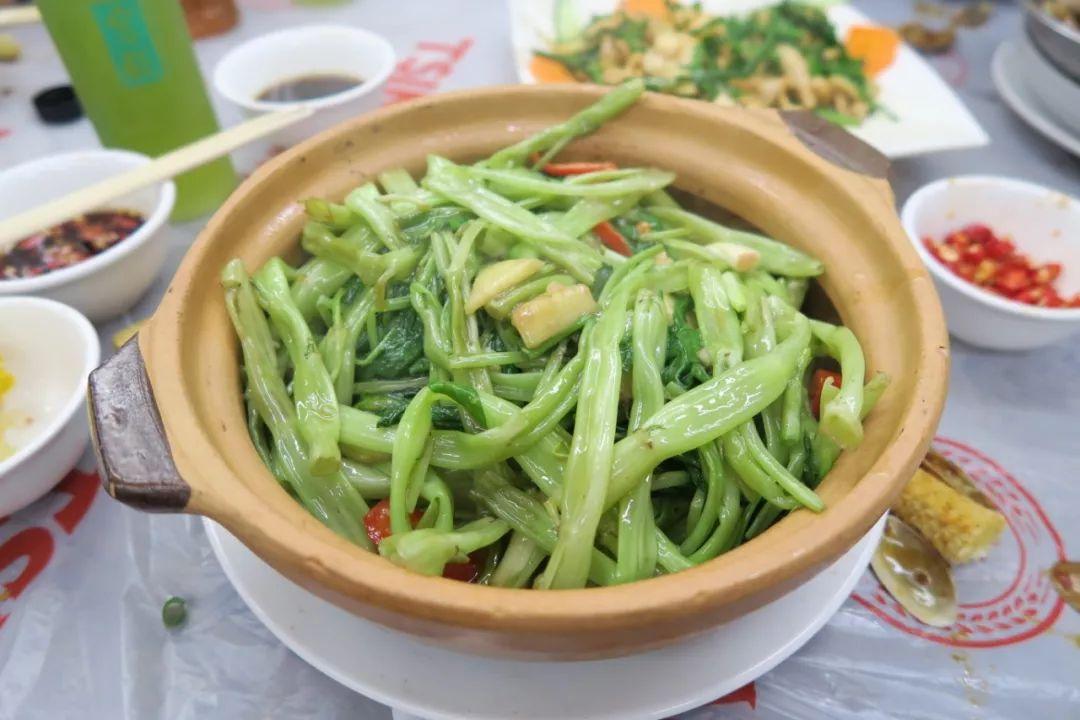 澳门六盒宝典2021年最新版官方免费版中文版，揭秘澳门彩种新趋势与玩法指南