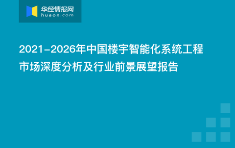 澳门六肖王小胖现状的深度剖析与展望